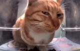 13897103981739012