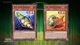 RB cards
