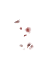 01abb8e1a27d953f[BUST]