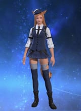 catmeron forma de flight attendant