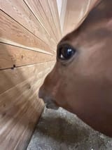 1733654341655411