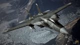 F-14D -Schnee- AC7