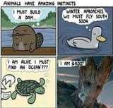 Instinct