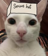 serious