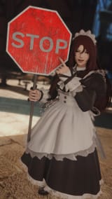 ffxiv_dx11 2025-05-18 11-20-12
