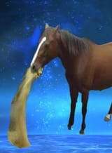 vomiting horse lodestone