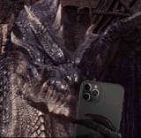 34243343