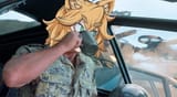 avcat