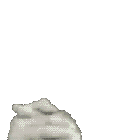 1558201522099
