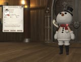 ffxiv_dx11_bh7xBSez3d