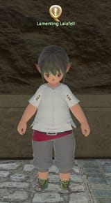 330px-Lamenting_Lalafell-4220680808