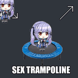 essextrampoline