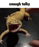 Femra no talky