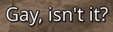 gay isn&#039;t it