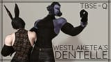 dentelle_preview