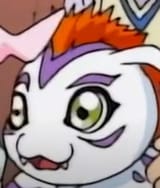 goma_what