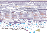 playerSpritesheetBig