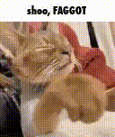 snaplytics_converted