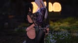 ffxiv_dx11 2025-01-26 01-02-18