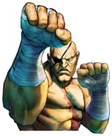 sagat