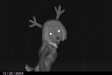 061725 Trailcamdoe