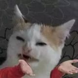 1558057478976