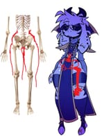 anatomy