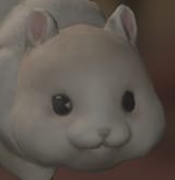 hey
