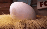 angry-bird-baby