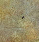 1734102437278848