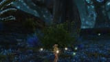 ffxiv_dx11_2025_06_17_05_21