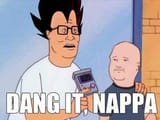 dang it nappa