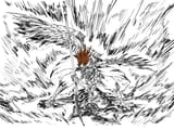 birdboi and recluse