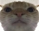 1693366034653497