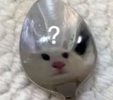 1712731172319817