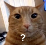 1748376129431455