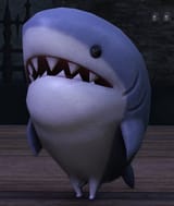 lil shark guy