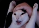 GiVlXzNW0AAR4HW