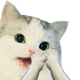 1641041141145