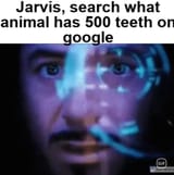 9807677567