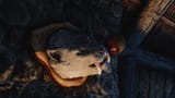 enb 2022_03_01 13_39_17_29