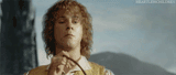 pippin