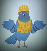 Halo Maintenance Pigeon