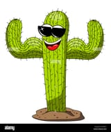 cactus-cartoon-funny-character-showing-biceps-isolated-on-white-RHPE6N-3069911120