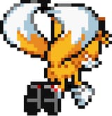 TAILS CANON ANUS