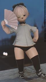 ffxiv_dx11_2024-08-25_11-53-57