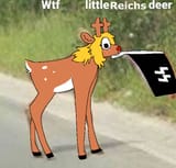 fdjgkhk