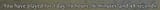 1742426889265141