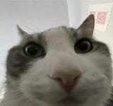 432234