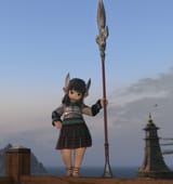 Drg1